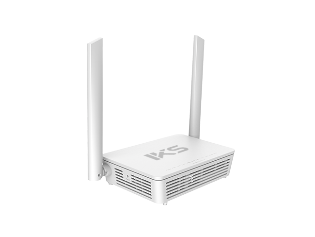 ONT Device